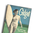 Gidget Book Graphic